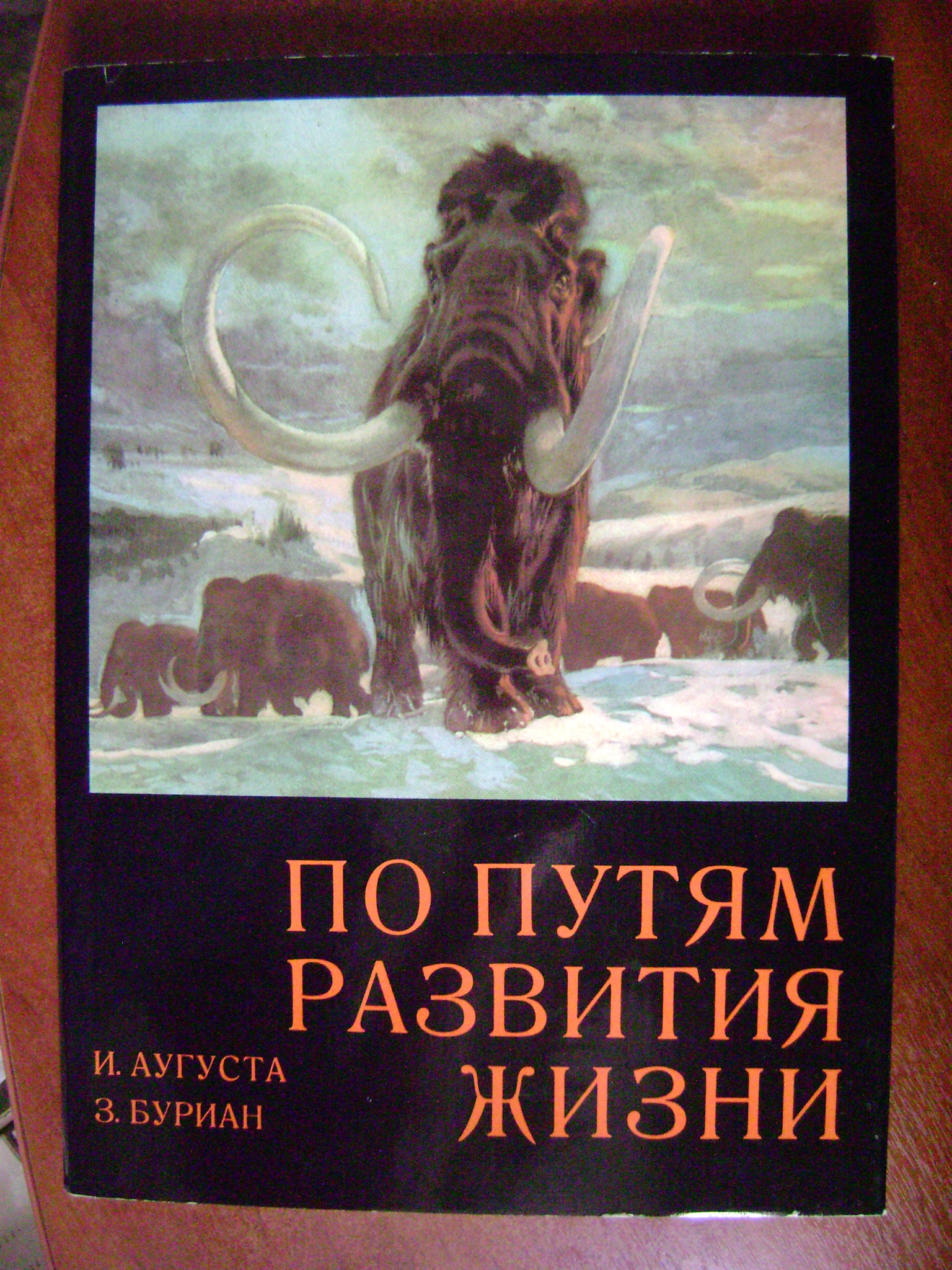 Аугуста Йозеф, Буриан Зденек. По путям развития жизни