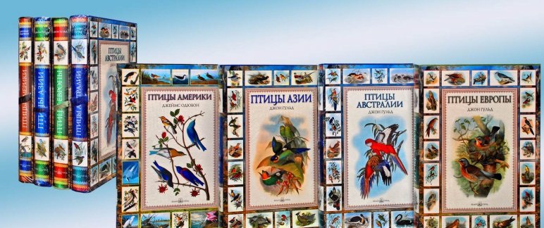 Гульд Д., Одюбон Д. В 4 кн.: Птицы мира: Птицы Европы. Птицы Австралии. Птицы Азии. Птицы Америки: Подарочное издание-альбомы