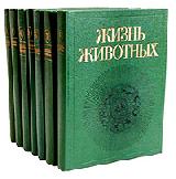    7- 